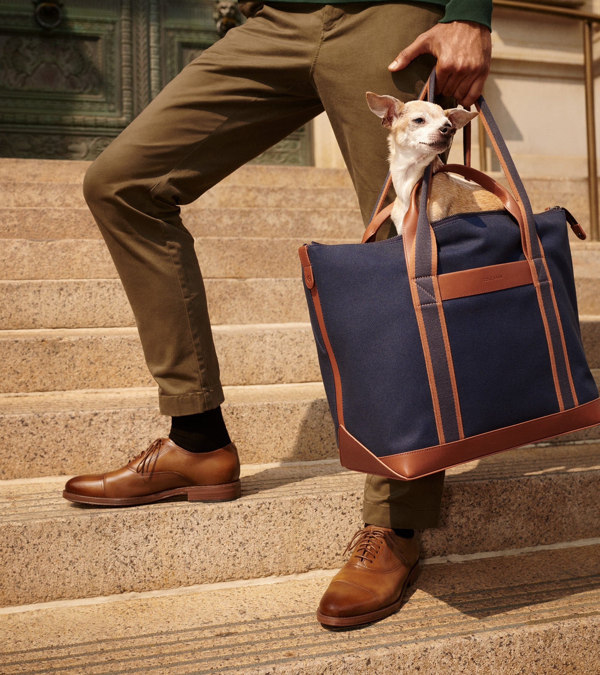 Men's Ledley Grand Cap Toe Oxfords in Brown | Cole Haan