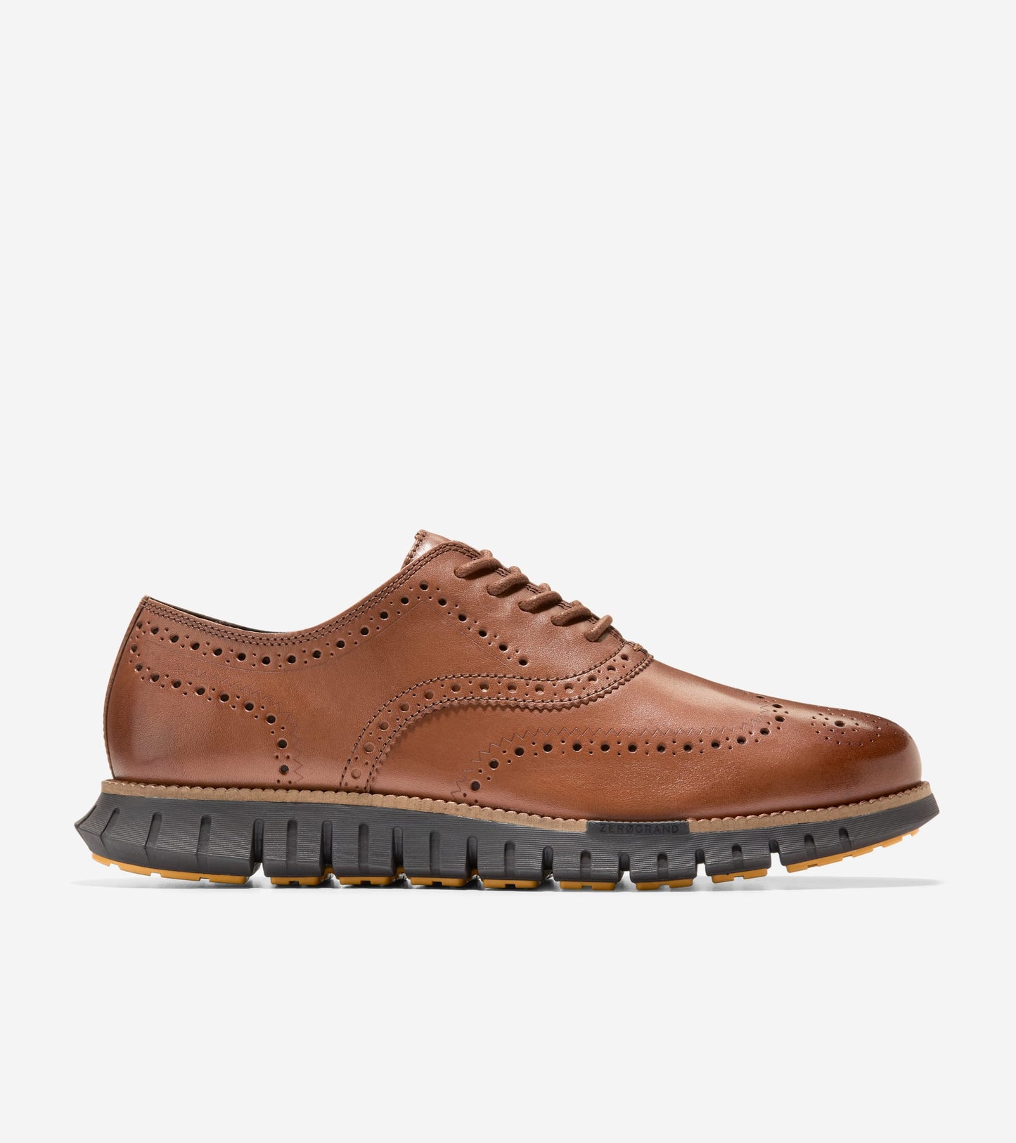 British Tan-Java,7