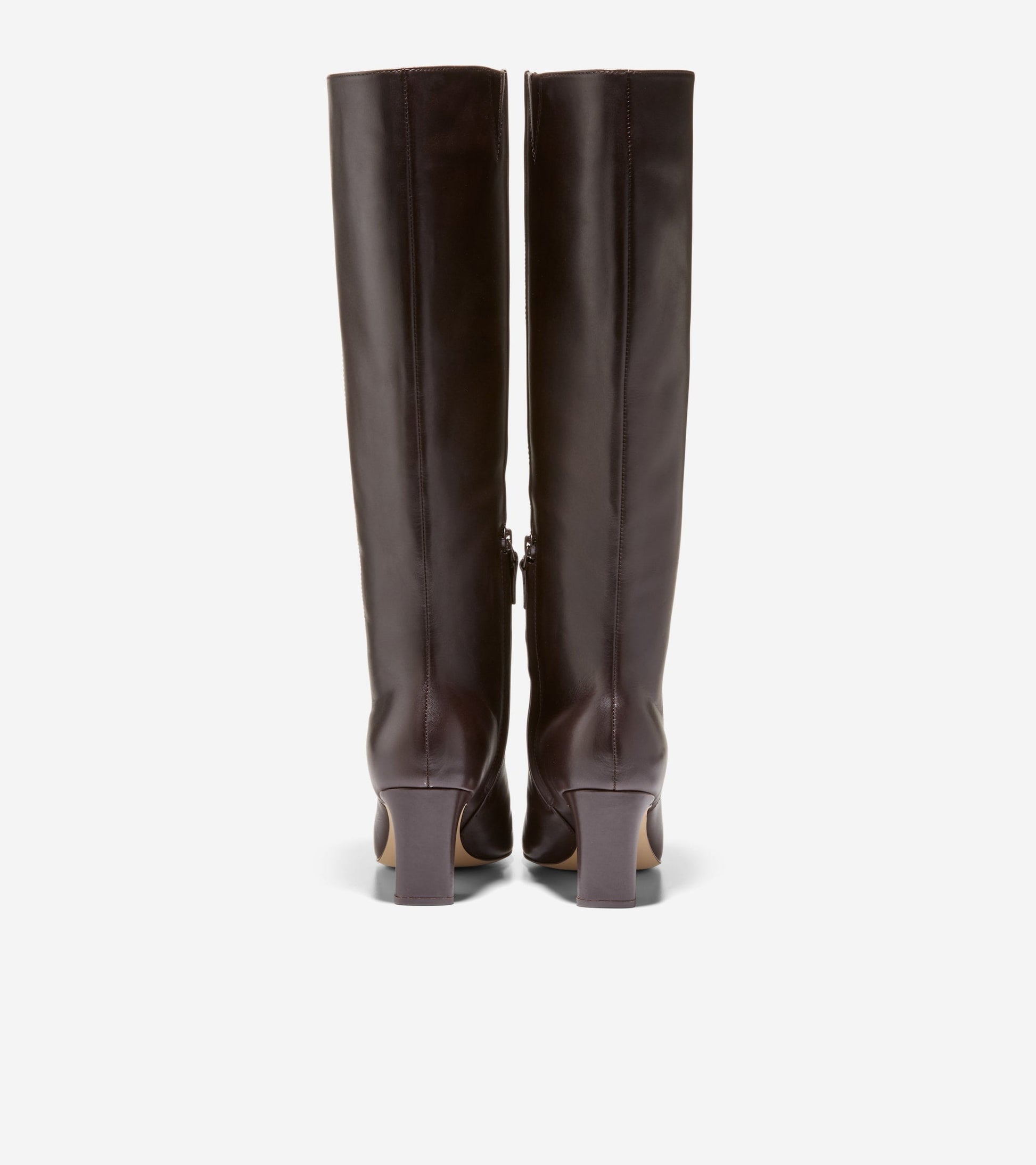 Women's Blanche Snip Toe Tall Boots in Brown | Cole Haan