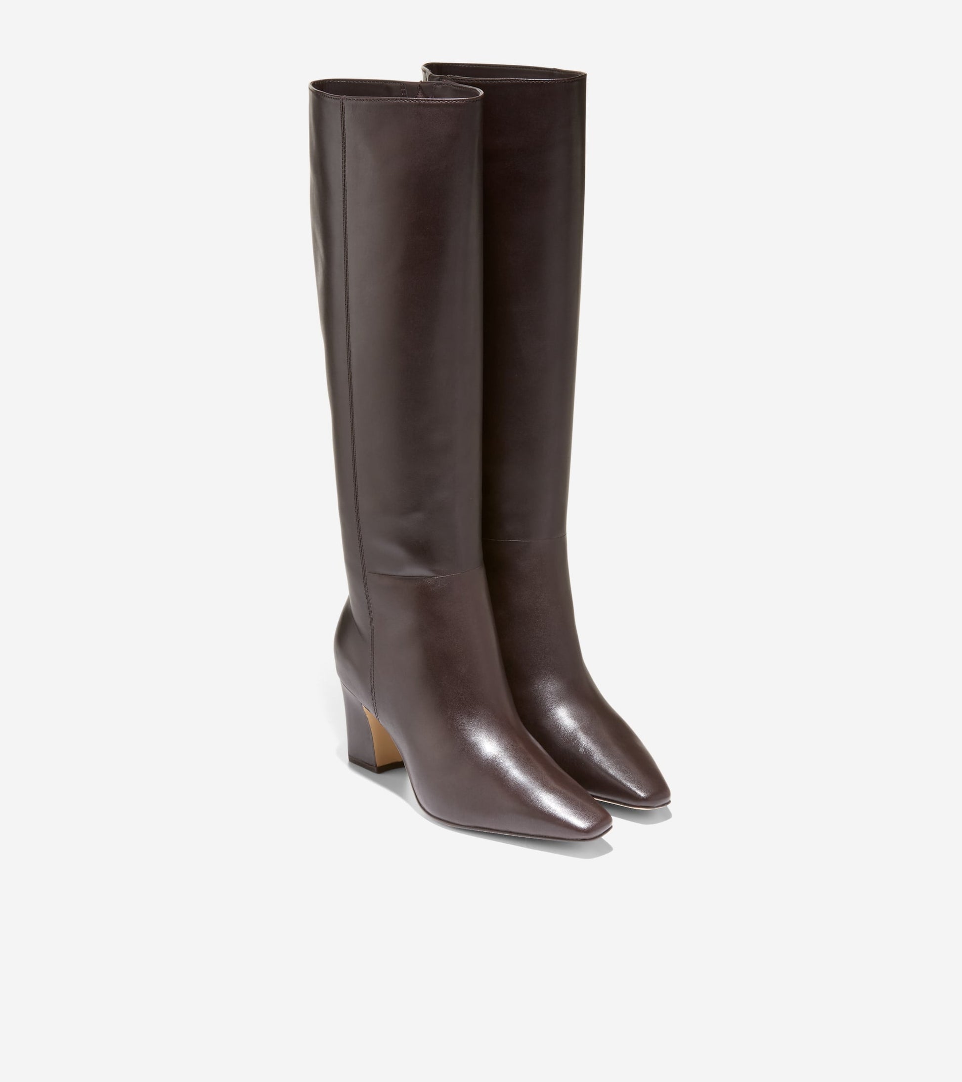 Women's Blanche Snip Toe Tall Boots in Brown | Cole Haan