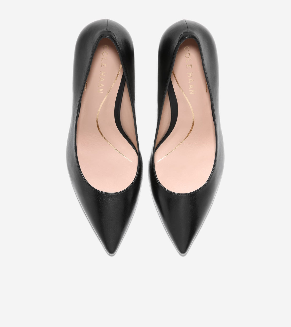Women's Vivica Pointed Toe Pumps in Black | Cole Haan