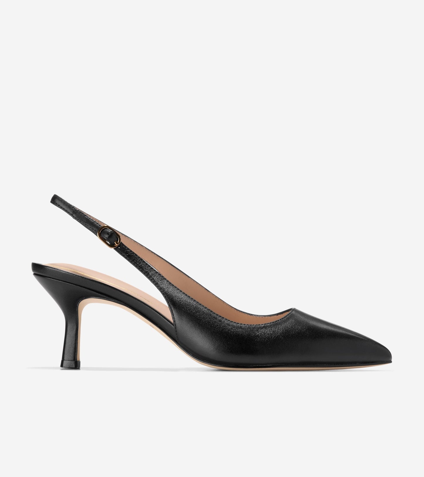 Black,5