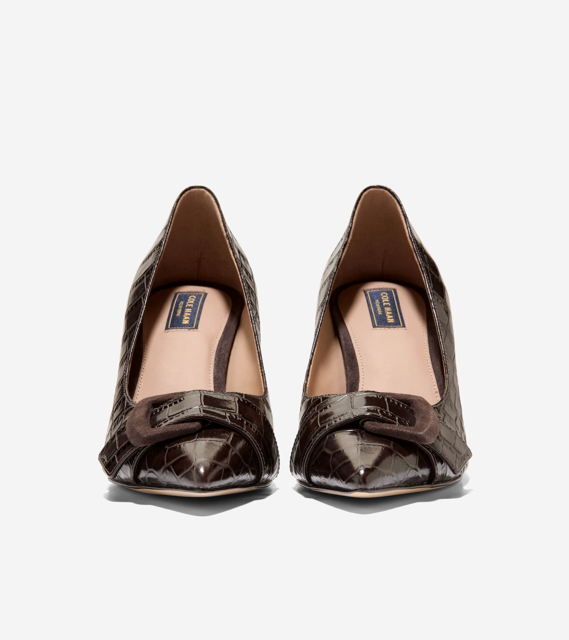 Women's Fidela Buckle Pumps in Brown | Cole Haan