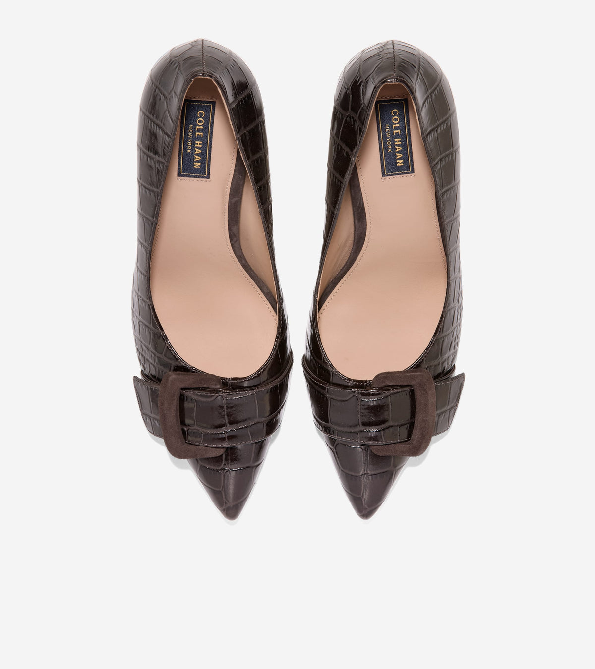 Women's Fidela Buckle Pumps in Brown | Cole Haan
