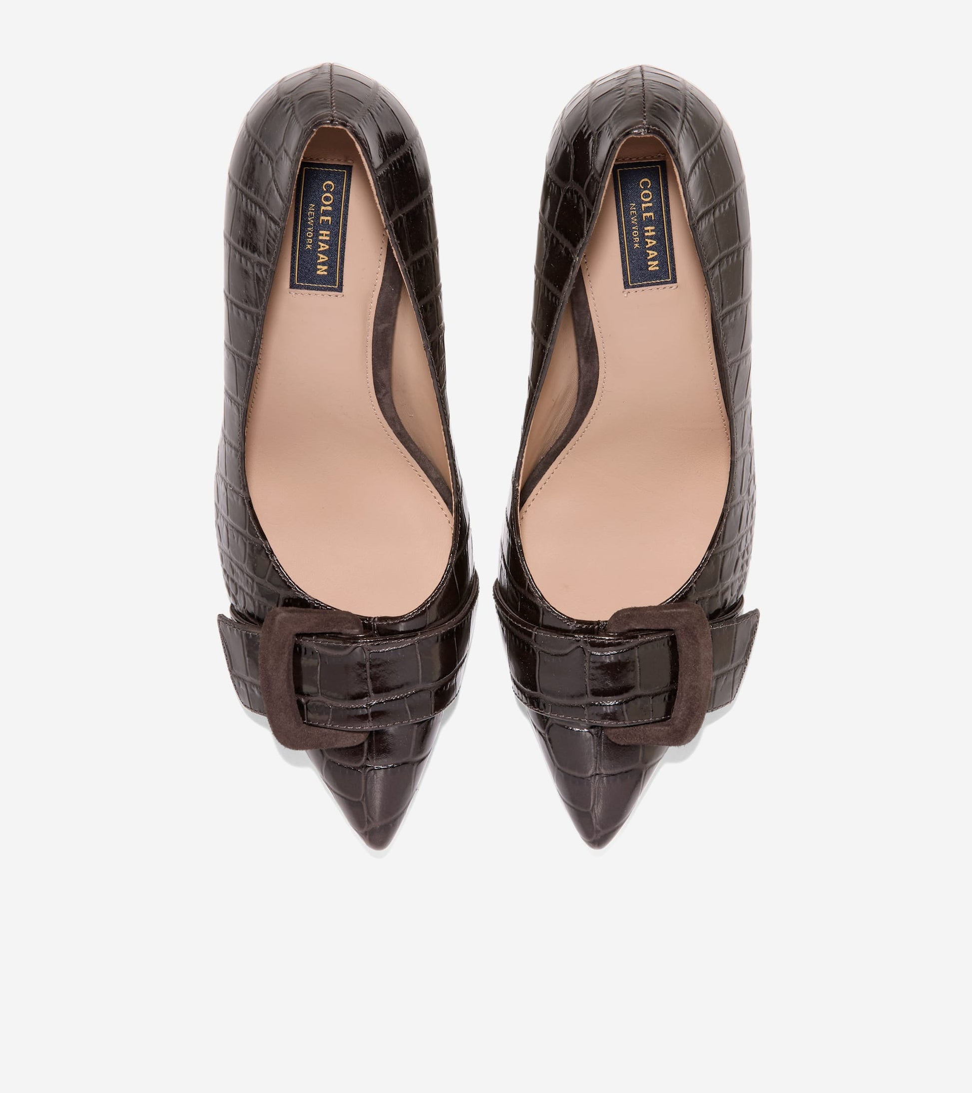 Women's Fidela Buckle Pumps in Brown | Cole Haan
