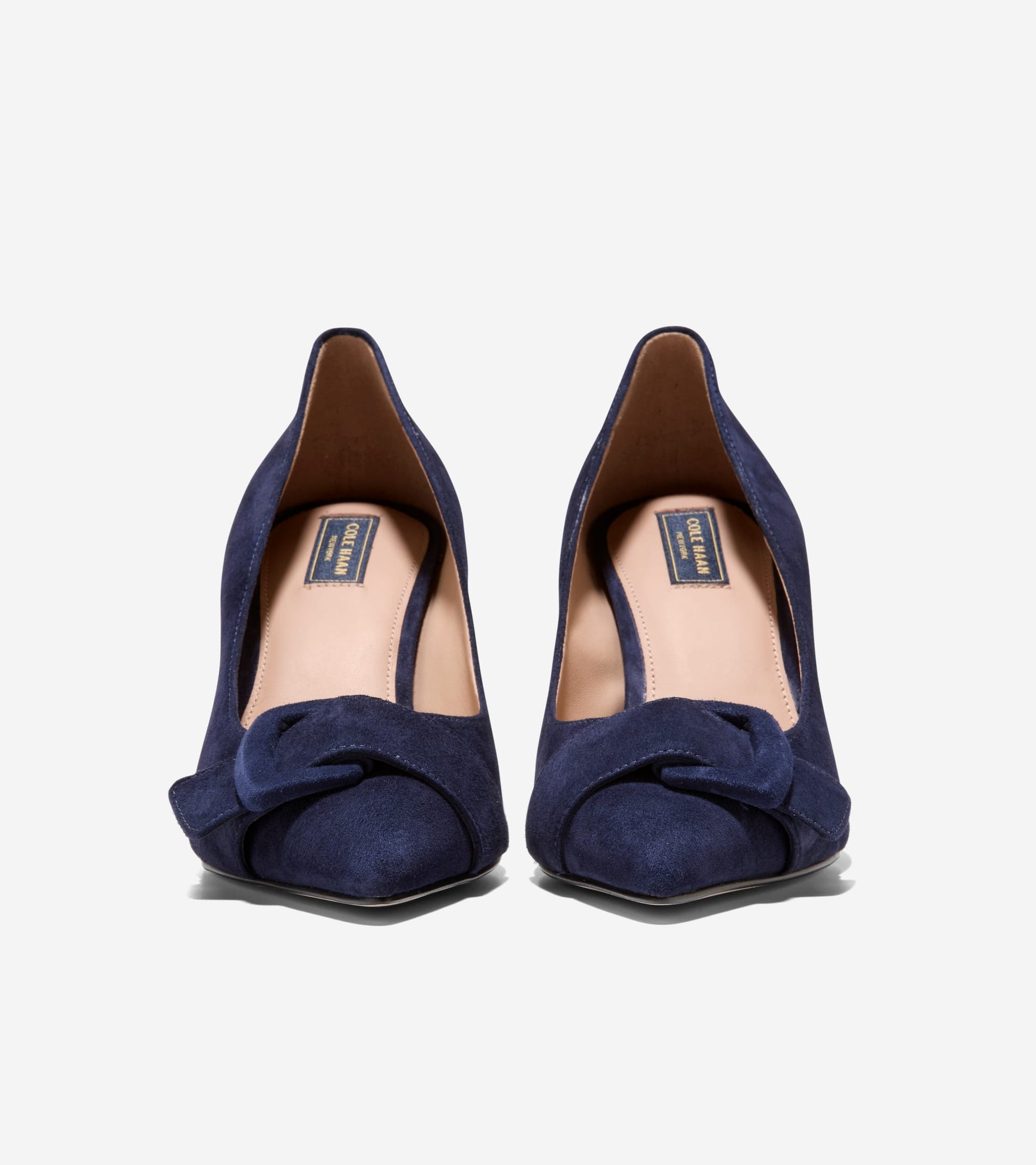 Women's Fidela Buckle Pumps in Blue | Cole Haan