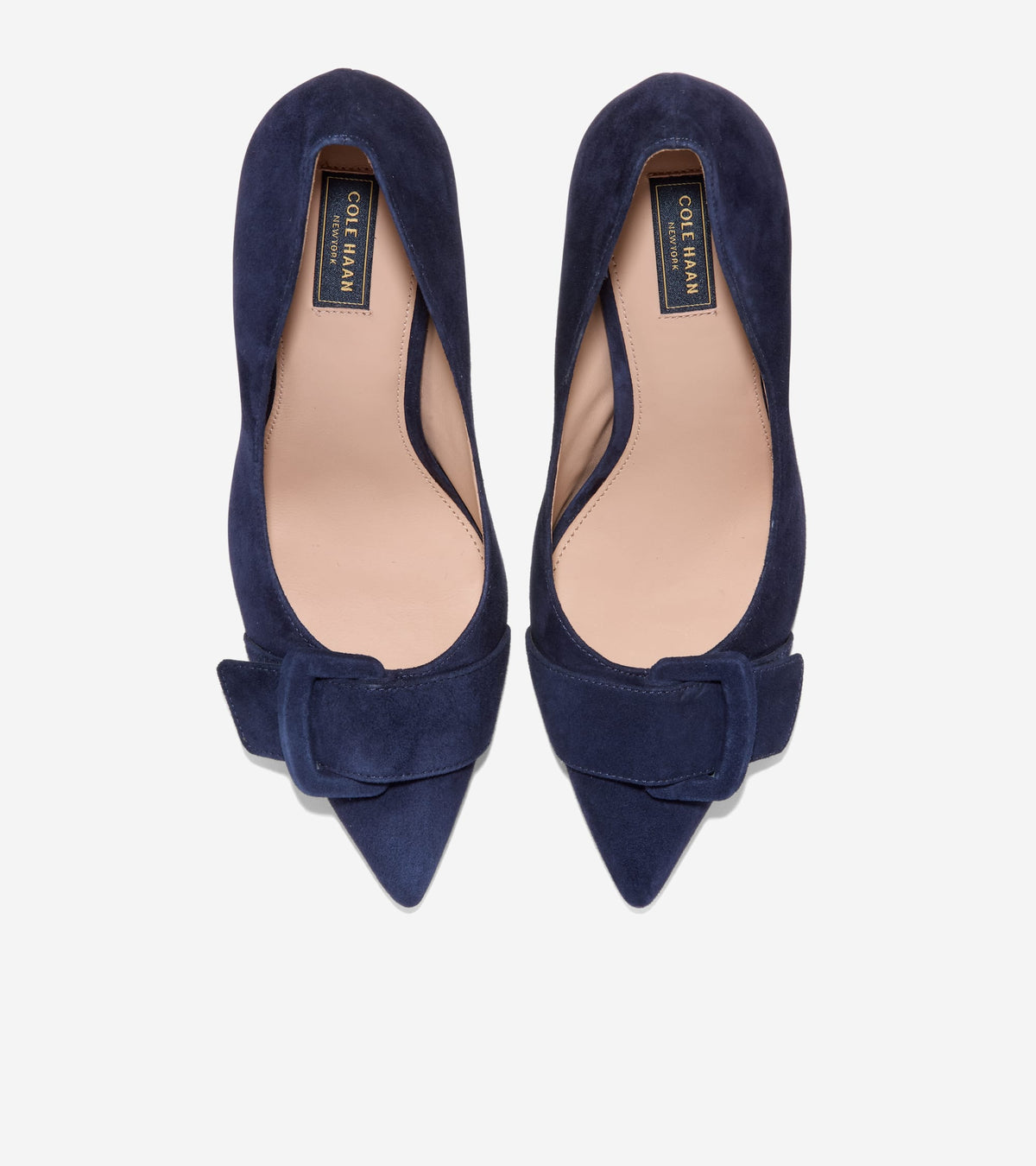 Women's Fidela Buckle Pumps in Blue | Cole Haan