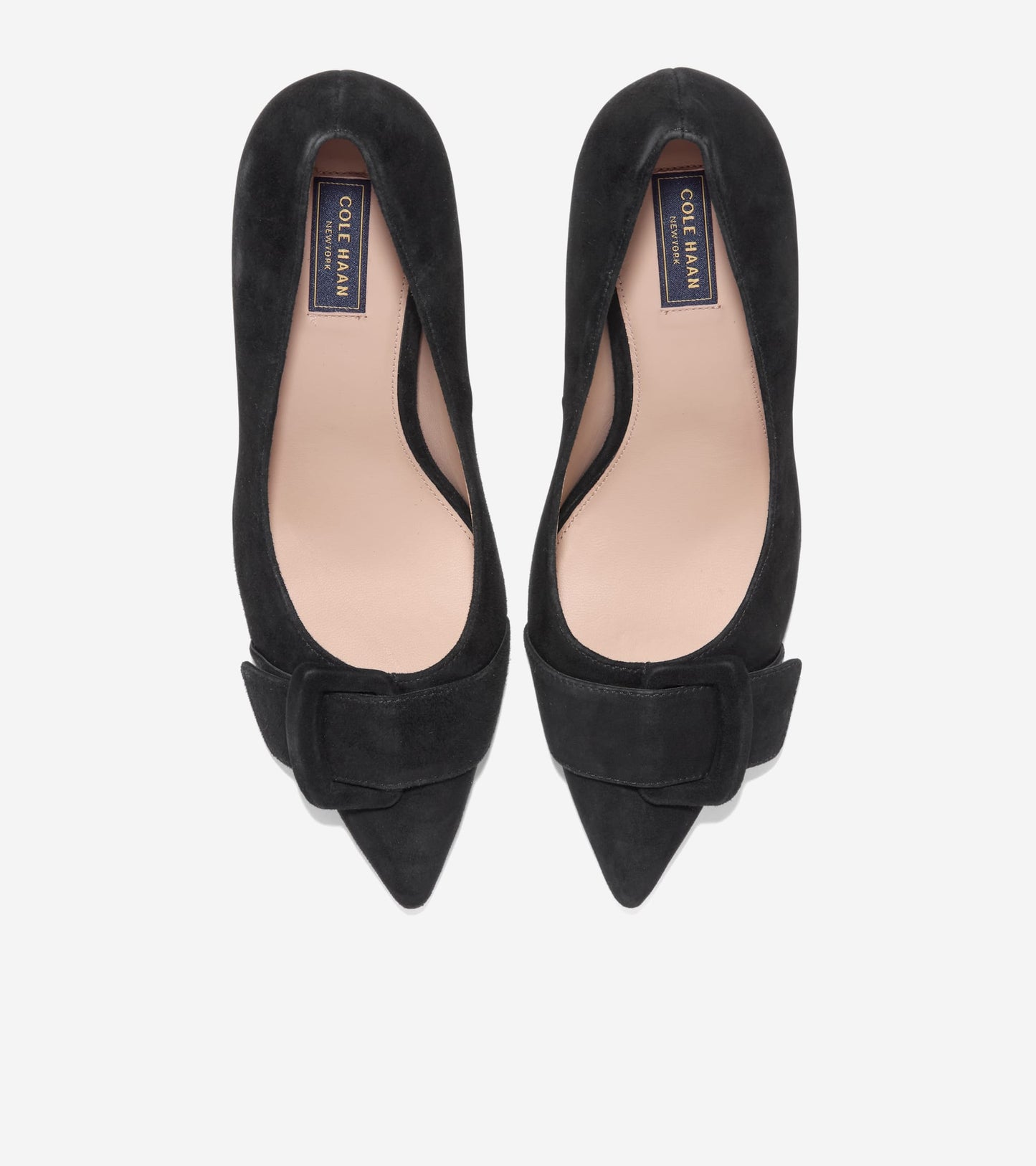 Women's Fidela Buckle Pumps in Black | Cole Haan