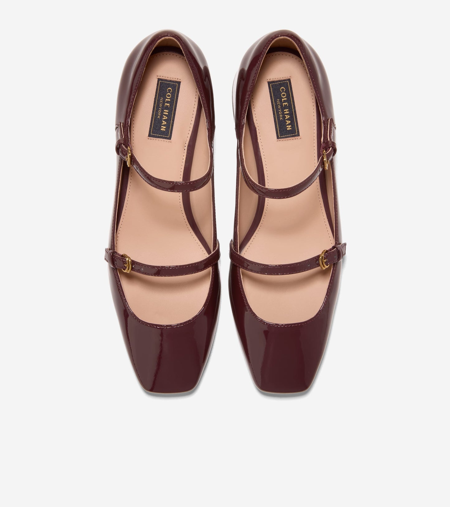 Women's Paxton Mary Jane Pump in Red | Cole Haan