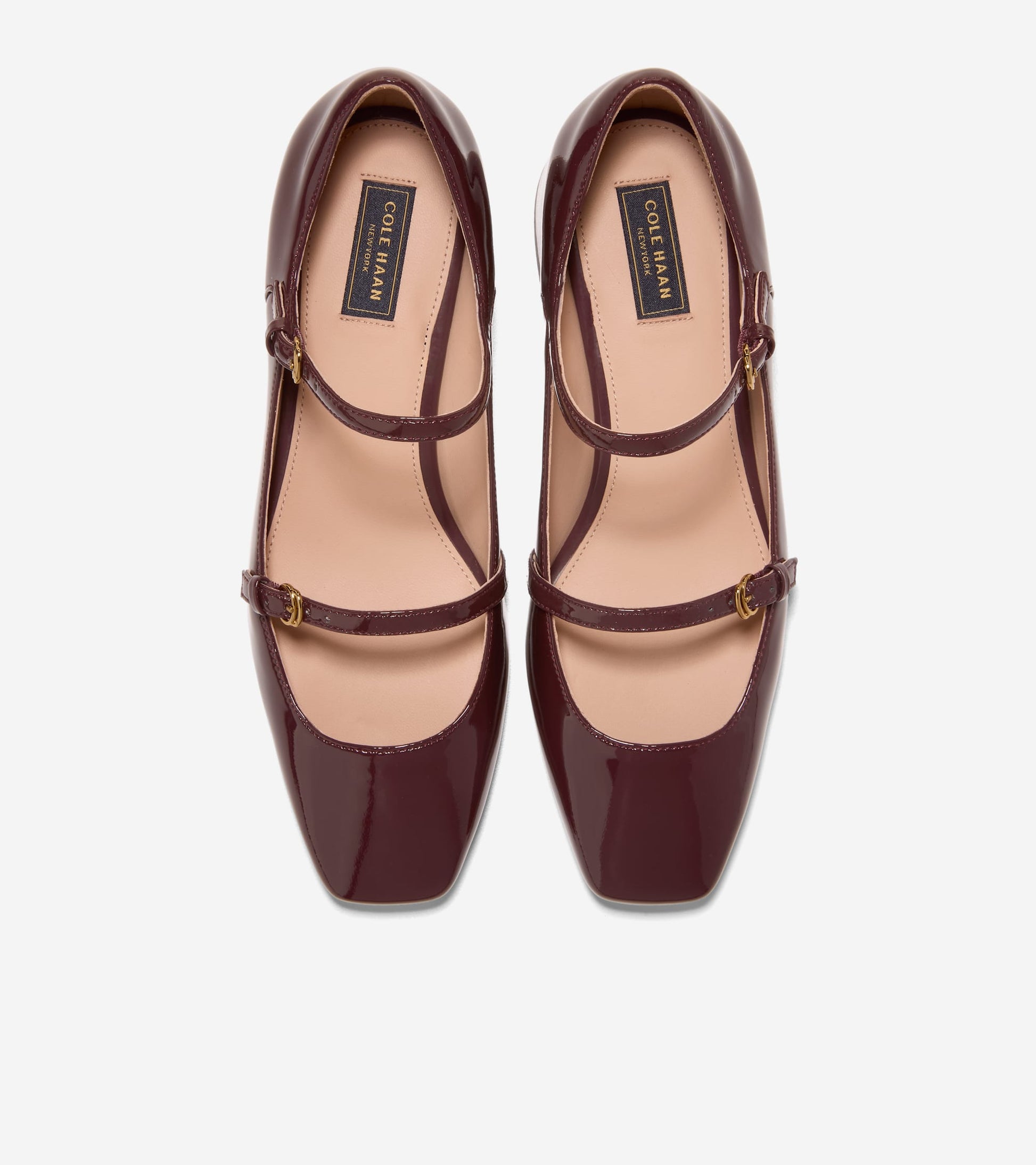 Women's Paxton Mary Jane Pump in Red | Cole Haan