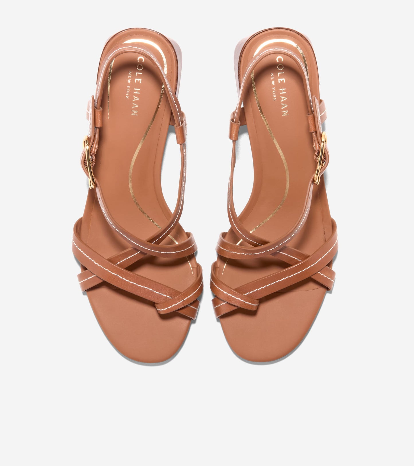 Women's Dillon Block Heel Thong Sandals in Brown | Cole Haan