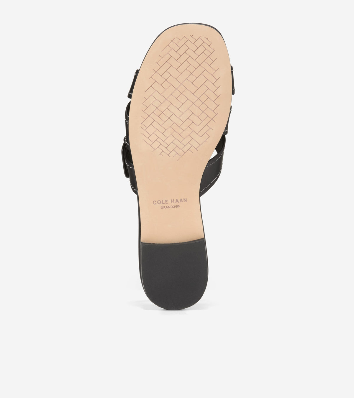 Women's Velma Buckle Slide Sandals in Black | Cole Haan