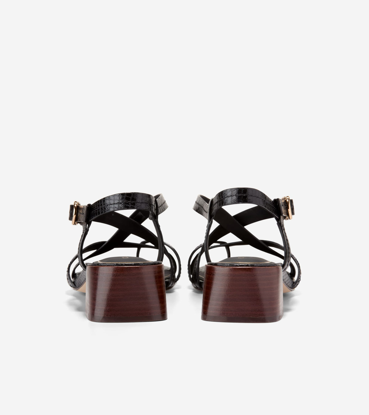 Women's Dillon Block Heel Thong Sandals in Black | Cole Haan