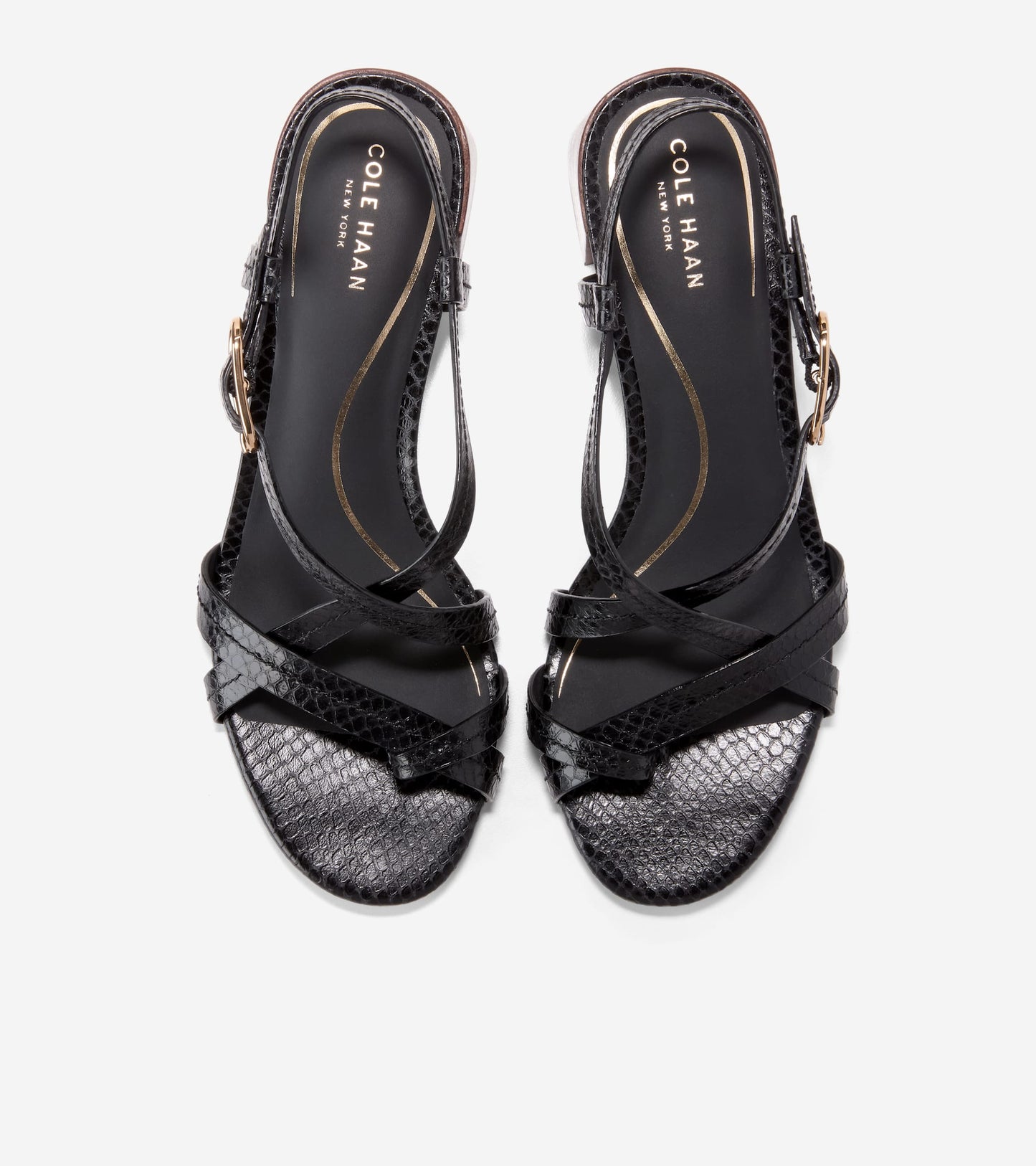 Women's Dillon Block Heel Thong Sandals in Black | Cole Haan