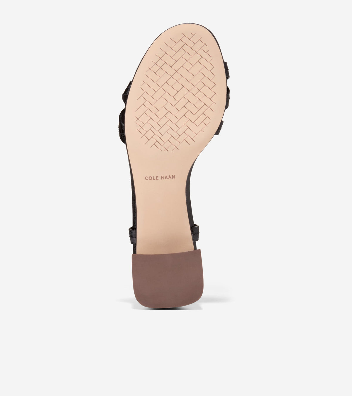 Women's Dillon Block Heel Thong Sandals in Black | Cole Haan