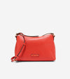 Summer Fig