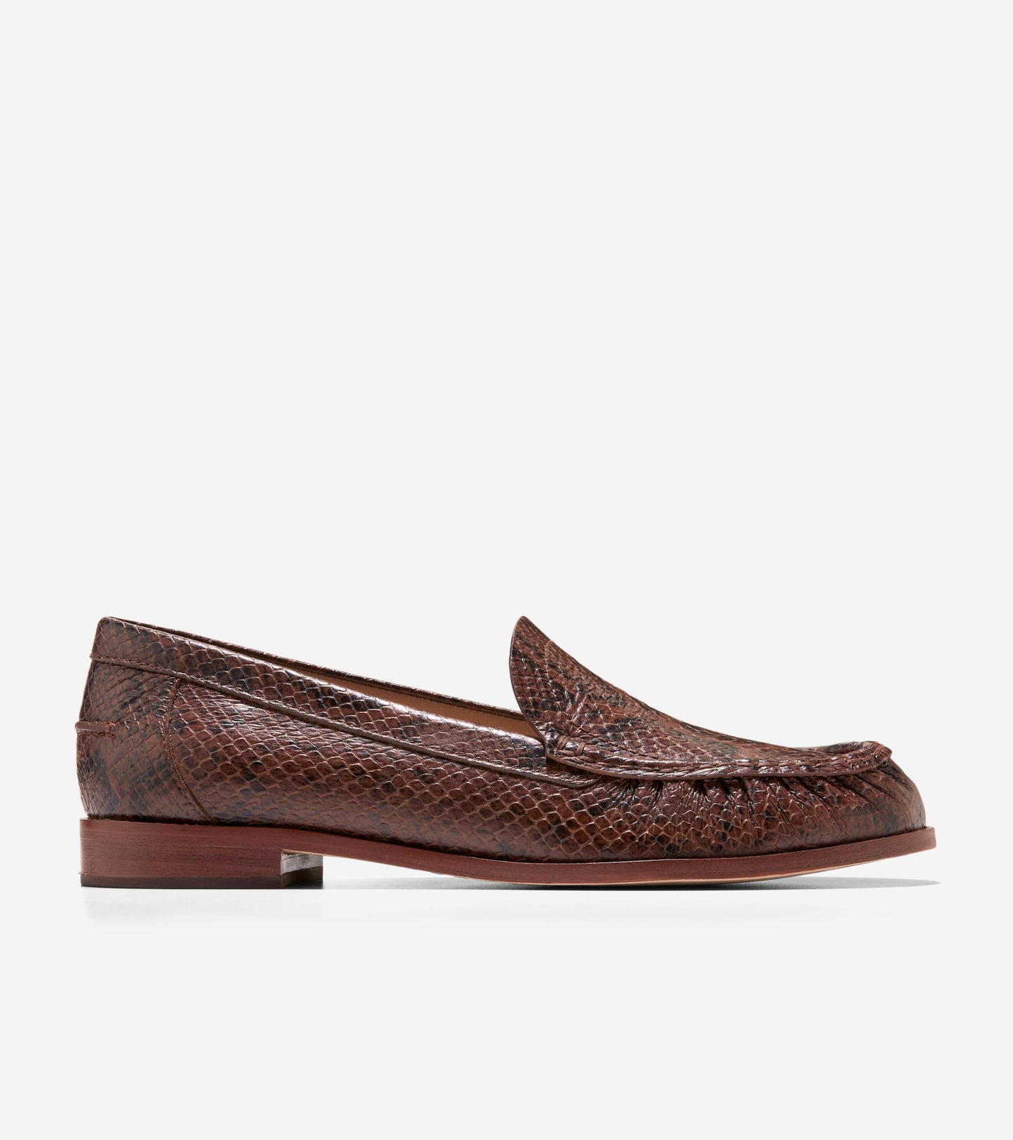 Hickory Glossy Snake Print,5