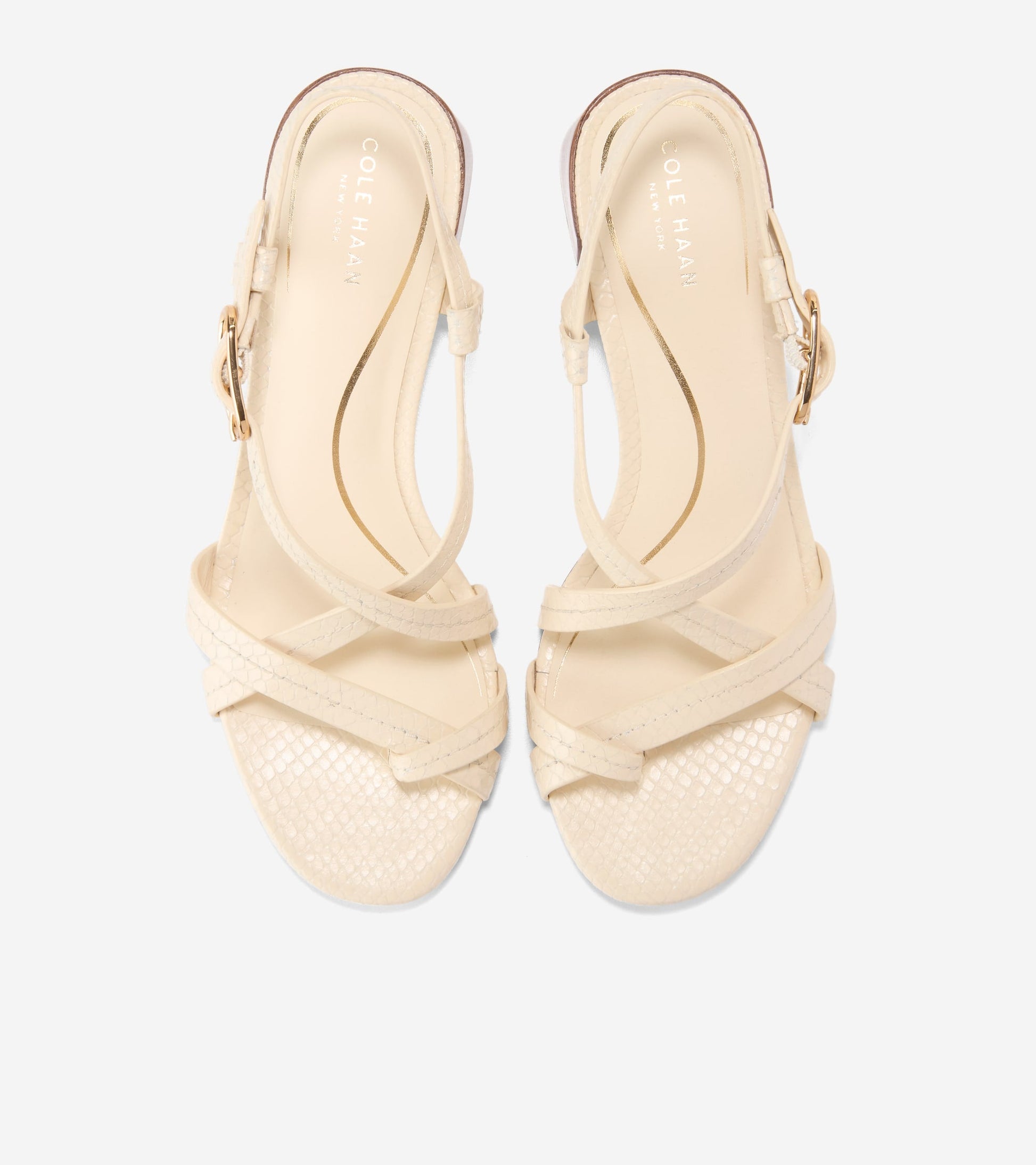 Women's Dillon Block Heel Thong Sandals in Beige | Cole Haan
